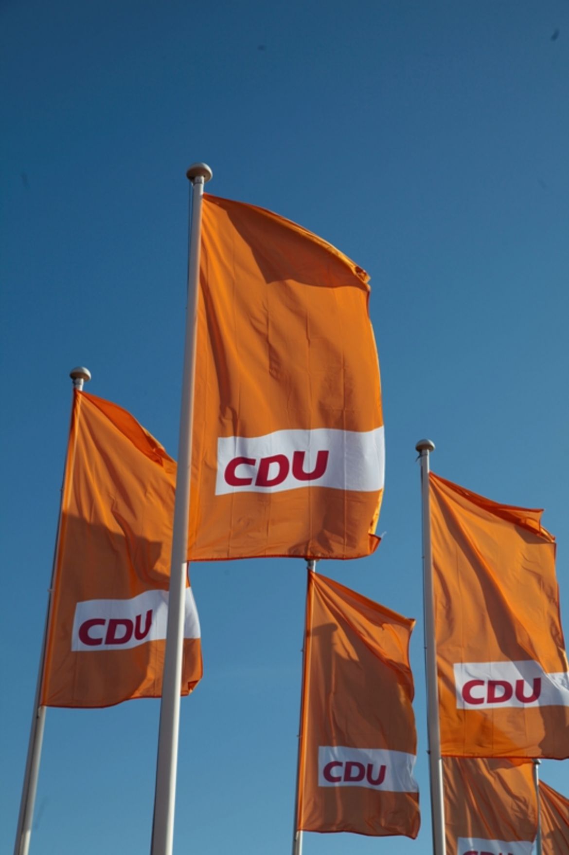 Fahnen-klein-ci_91892.jpg