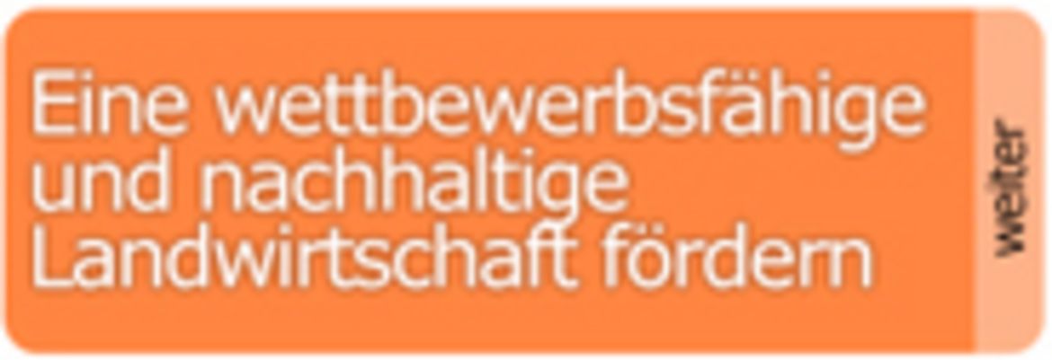 programm_1-4.jpg